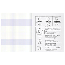 Тетрадь предметная 48л. BG "Single colour" - Геометрия, эконом