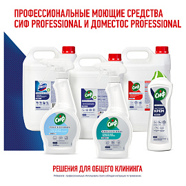 Средство для сантехники Domestos Professional Свежесть Атлантики 1 л