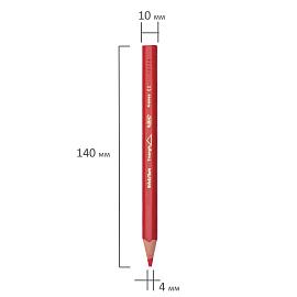 Карандаши цветные BIC Kids Evolution 12 карандашей 12 цветов трёхгранные (утолщённые)