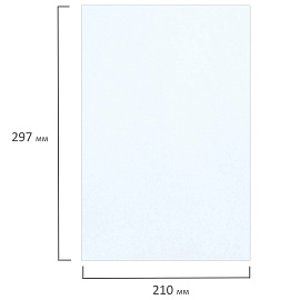 Фотобумага матовая, А4, 160 г/м2, односторонняя, 300 листов, BRAUBERG ORIGINAL, 364429