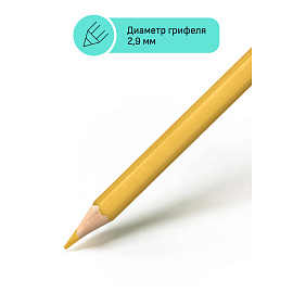 Карандаши цветные Гамма "Хобби. Портрет", 12цв., заточен., ПВХ, европодвес фото Карандаши цветные Гамма "Хобби. Портрет", 12цв., заточен., ПВХ, европодвес