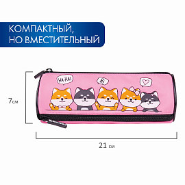 Пенал мягкий BRAUBERG, 3 отделения, нейлон, 21х7х7 см, "Puppies", 270839