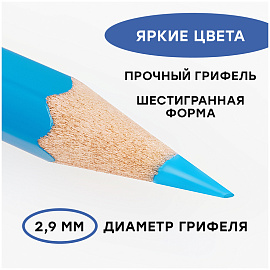 Карандаши акварельные ГАММА "Лицей", 36 цветов, заточенные, шестигранные, кисть, картонная упаковка, 221118_05 фото Карандаши акварельные ГАММА "Лицей", 36 цветов, заточенные, шестигранные, кисть, картонная упаковка, 221118_05