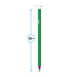 Карандаши цветные пластиковые Berlingo "Цирк", 12цв., заточен., картон, европодвес фото Карандаши цветные пластиковые Berlingo "Цирк", 12цв., заточен., картон, европодвес