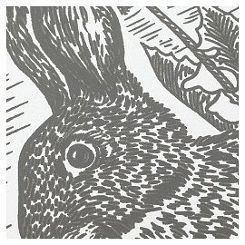 Гравюра, 18х24 см, АССОРТИ, МУЛЬТИ АРТ