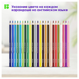 Карандаши цветные Berlingo "SuperSoft. Замки", 24цв., заточен., картон, европодвес фото Карандаши цветные Berlingo "SuperSoft. Замки", 24цв., заточен., картон, европодвес