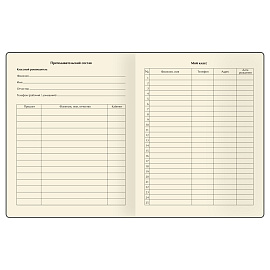 Дневник 1-11 кл. 48л. ЛАЙТ BG "Орел. Красный", иск. кожа soft-touch, блинтовое тиснение, ляссе