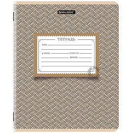 Тетрадь 12 л. BRAUBERG линия, обложка картон, TEXTURE, 107279