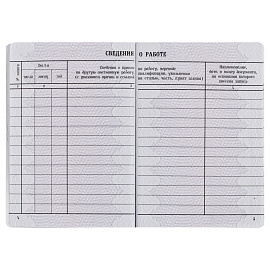 Бланк Вкладыш в трудовую книжку Гознак фото Бланк Вкладыш в трудовую книжку Гознак