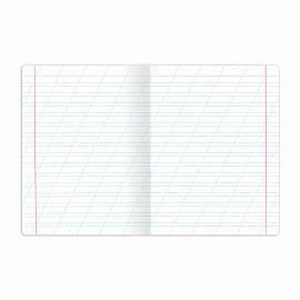 Тетрадь 12 л. BRAUBERG косая линия, обложка картон, ФУТБОЛ, 107290