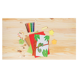 Фломастеры Bic Visa 12 цветов с вентилируемыми колпачками смываемые