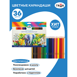 Карандаши цветные Гамма 36 цветов шестигранные фото Карандаши цветные Гамма 36 цветов шестигранные