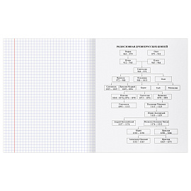 Тетрадь предметная 48л. BG "Перфокарта" - История, пластиковая обложка
