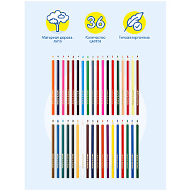 Карандаши цветные Мульти-Пульти "Невероятные приключения", 36цв., трехгран., заточен., картон, европодвес фото Карандаши цветные Мульти-Пульти "Невероятные приключения", 36цв., трехгран., заточен., картон, европодвес