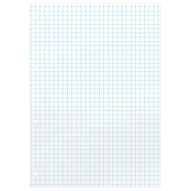 Сменный блок для тетради на кольцах А5, 160 л., BRAUBERG, "Белый", 404613