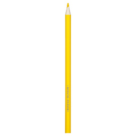 Карандаши цветные Мульти-Пульти "Енот в Индии", 12цв., заточен., картон, европодвес