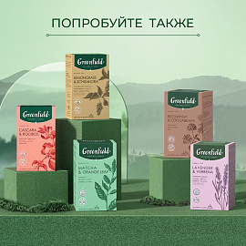 Чайный напиток травяной Greenfield Natural Tisane Double Mint 20 пирамидок