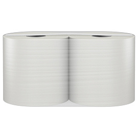 Полотенца бумажные рулонные Veiro Professional Basic M2 1-слойные серые 6 рулонов по 300 метров (KP105)