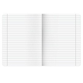 Тетради предметные, КОМПЛЕКТ 5 ПРЕДМЕТОВ, 48 л., SoftTouch, BRAUBERG "РИТМ", 405187