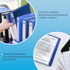 Папка 100 вкладышей BRAUBERG стандарт, синяя, 0,9 мм, 221609