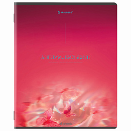 Тетради предметные, КОМПЛЕКТ 13 ПРЕДМЕТОВ, 48 л., SoftTouch, BRAUBERG "PEACEFUL", 405182