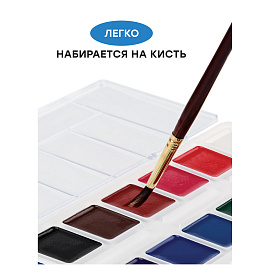 Краски акварельные Гамма Классическая медовые 12 цветов фото Краски акварельные Гамма Классическая медовые 12 цветов