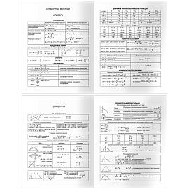 Дневник 5-11 кл. 48л. (твердый) BG "Формулы", матовая ламинация, выб.лак
