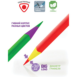 Карандаши цветные пластиковые Berlingo "Цирк", 12цв., заточен., картон, европодвес фото Карандаши цветные пластиковые Berlingo "Цирк", 12цв., заточен., картон, европодвес