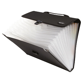 Папка-портфель 13 отделений Berlingo "Standard" А4, 330*240*40мм, 1000мкм, черная