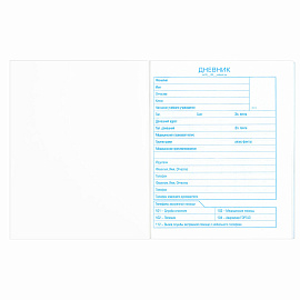 Дневник БЕЛЫЙ, HATBER, на скобе, обложка мелованный картон, 005189, 40Д5B_03610