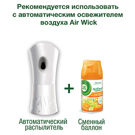 Сменный баллон 250 мл, AIRWICK "Анти-табак. Апельс/бергамот", для автоматических освежителей, универсальный, 224392 фото Сменный баллон 250 мл, AIRWICK "Анти-табак. Апельс/бергамот", для автоматических освежителей, универсальный, 224392