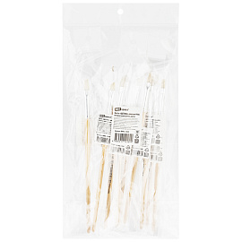 Кисть щетина, ArtSpace, плоская №06, пакет, европодвес