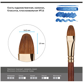 Кисть художественная колонок Гамма "Классика", плоскоовальная №16 фото Кисть художественная колонок Гамма "Классика", плоскоовальная №16