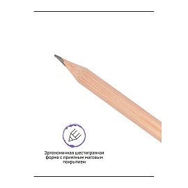 Карандаш ч/г Гамма "Старый мастер", 7H, кедр, заточен. фото Карандаш ч/г Гамма "Старый мастер", 7H, кедр, заточен.