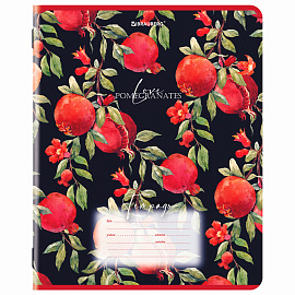 Тетрадь 18 л. BRAUBERG, клетка, обложка картон, ГРАНАТ, 107296