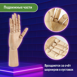 Манекен художественный BRAUBERG ART CLASSIC "РУКА", высота 30 см., мужская левая, дерево, 191296