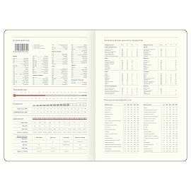 Ежедневник недатированный, А5, 136л., твердый переплет, кожзам, Greenwich Line "Fascia. Graphite", магнитная застежка, цветной срез