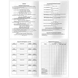 Дневник 5-11 кл. 48л. ЛАЙТ BG "Космонавт", глянцевая ламинация, тиснение фольгой