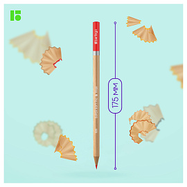 Карандаши цветные Berlingo "SuperSoft. Pro" 36цв., круглые, заточен., картон, европодвес