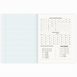 Тетради предметные, КОМПЛЕКТ 12 ПРЕДМЕТОВ, 48 л., SoftTouch, BRAUBERG, "ESTHETICS", 404833