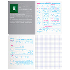 Тетрадь предметная 48л. BG "Угадай кто" - Геометрия, матовая ламинация, выб. лак