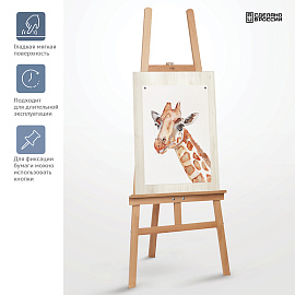 Планшет фанера 50*70см Гамма "Студия", негрунтованный