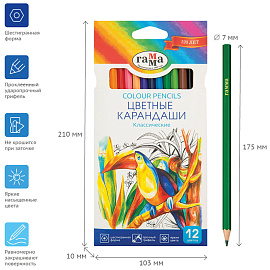 Карандаши цветные Гамма Классические 12 карандашей 12 цветов шестигранные фото Карандаши цветные Гамма Классические 12 карандашей 12 цветов шестигранные