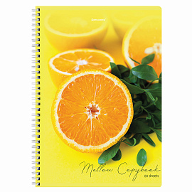 Тетрадь А4, 80 л., BRAUBERG, гребень, клетка, обложка картон, "Фрукты", 404051