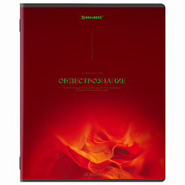 Тетради предметные, КОМПЛЕКТ 13 ПРЕДМЕТОВ, 48 л., SoftTouch, BRAUBERG "PEACEFUL", 405182