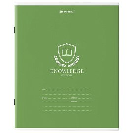 Тетрадь 18 л. BRAUBERG линия, обложка картон, "ОДНОТОННЫЙ С ЭМБЛЕМОЙ", 106483