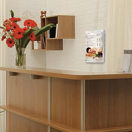 Подставка настенная для рекламных материалов ВЕРТИКАЛЬНАЯ (280х215х32 мм), А4, STAFF, 291173 фото Подставка настенная для рекламных материалов ВЕРТИКАЛЬНАЯ (280х215х32 мм), А4, STAFF, 291173