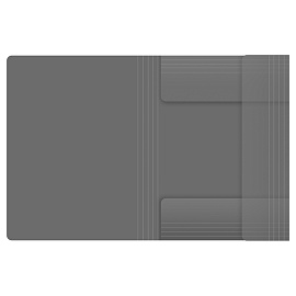 Папка на резинке Berlingo "No Secret" А4, 600мкм, полупрозрачная черная