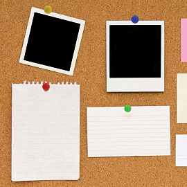 Силовые кнопки-гвоздики ОФИСМАГ, цветные, 50 шт., в картонной коробке., 222092 фото Силовые кнопки-гвоздики ОФИСМАГ, цветные, 50 шт., в картонной коробке., 222092