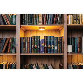 Сейф-книга "Атлас мира", 55х115х180 мм, ключевой замок, BRAUBERG, 291051